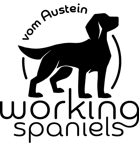 Austrian Working Spaniels